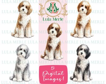 Doodle Dog Clipart Images | Sheepadoodle, Bernedoodle | Poodle Mix Breed Watercolor Illustration