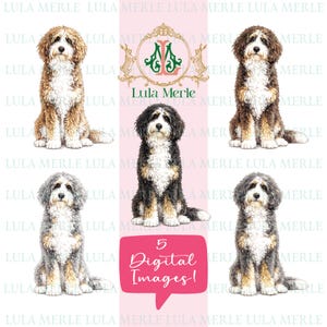 May include: Five digital illustrations of curly-haired dogs in various color patterns, including brown, black, and grey, all with white chests and paws. The central logo features the text Lula Merle with a rabbit emblem, and a pink speech bubble says 5 Digital Images!
