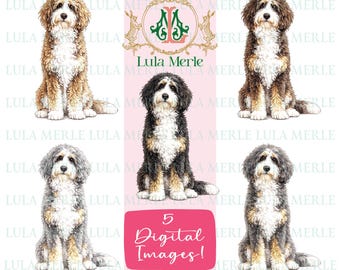 Doodle Dog Clipart Images | Sheepadoodle, Bernedoodle | Poodle Mix Breed Watercolor Illustration