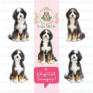 May include: Five digital images of Bernedoodle dogs with black, white, and tan fur. The central logo features the text Lula Merle with two rabbits. A pink speech bubble at the bottom contains the text 5 Digital Images! in white script.