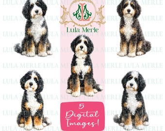 Bernedoodle Dog Clipart | Poodle Mix Dog Breed Illustrations | Watercolor Illustration Images