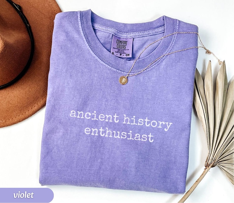 Comfort Colors Long Sleeve Ancient History Enthusiast Cotton T-Shirt, History immagine 11
