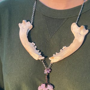 Real Coyote Jaw Bone Necklace with Hanging Amethyst Crystal Wire Tree