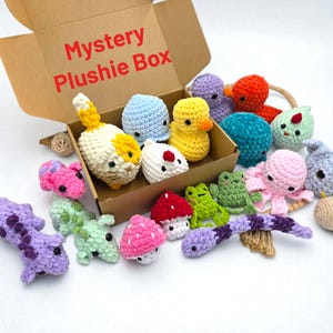 Mystery Plushie Box – Surprise handgemaakte gehaakte pluche cadeauset – blinddoos voor kinderen en verzamelaars – klaar voor verzending
