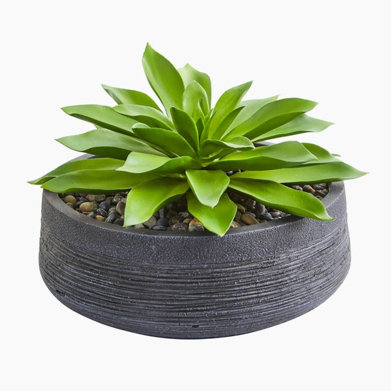 Large Succulent Artificial Plant In Decorative Bowl