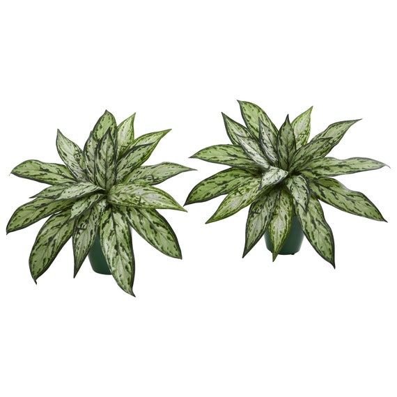 2 PC Silver Queen Artificial Plant In Planter