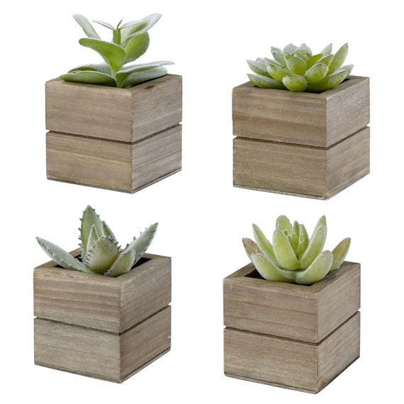 Succulent Plants Decoration Centre Piece For Home Decor