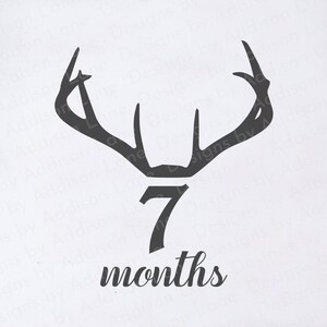Bébé sept mois jalon SVG - marqueur d’étape SVG - bois de cerf Svg - première année de bébé SVG - bébé jalon SVG - couverture d’âge de bébé SVG