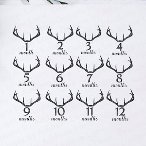 Jalon SVG bébé - jalon marqueur SVG - bois de cerf Svg - première année de bébé SVG - bébé jalon signes Svg - bébé âge couverture Svg