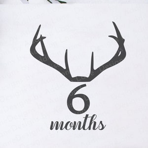 Bébé Six Mois Jalon SVG - Jalon Marqueur SVG - Bois de cerf Svg - Première année de bébé SVG - Bébé Jalon SVG - Bébé Âge Couverture Svg