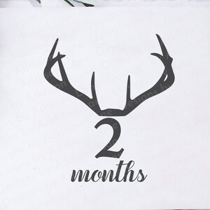 Bébé deux mois Milestone SVG - Milestone Marker SVG - Deer Antlers Svg - Bébé première année SVG - Baby Milestone SVG - Baby Age Blanket Svg