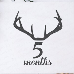 Bébé cinq mois jalon SVG - jalon marqueur SVG - bois de cerf Svg - première année de bébé - bébé jalon SVG - bébé âge couverture Svg
