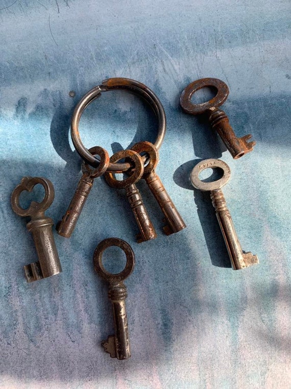 Large metal outlet key ring