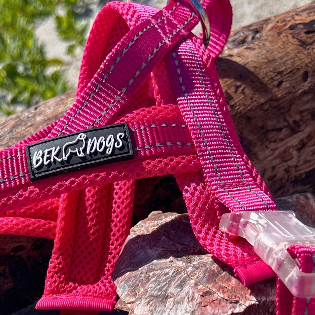 Dog Harness Padded No Pull Dog Harness With Handle and Front Clip Dog