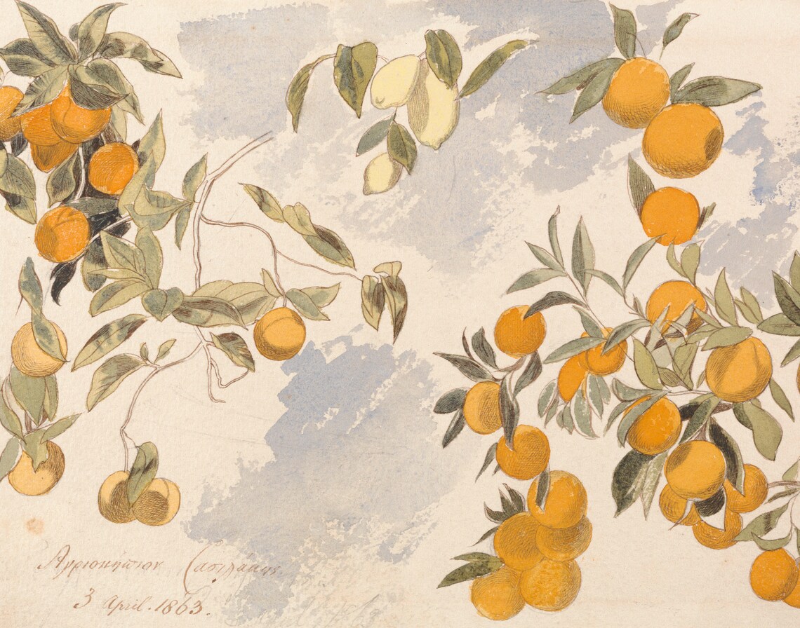 Orange Trees Instant Digital Download Vintage Oil Painting Etsy