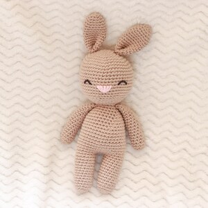 Bunny Amigurumi Crocheted Stuffed Animal (Brown)