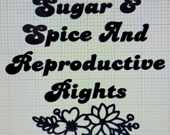 Sugar & Spice and Reproductive Rights Decal-Woman's Rights-Roe v Wade-Pro Choice-Reproductive Rights-Freedom-America