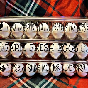 Reusable Egg Containers-Funny Egg Containers-Egg Carton-Plastic Egg Container-Holds 14 Eggs-Eggs-Egg Holder-Farmer-Chicken Lady-Chickens