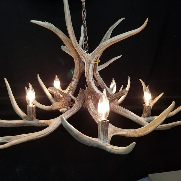 Small Real Antler Chandelier