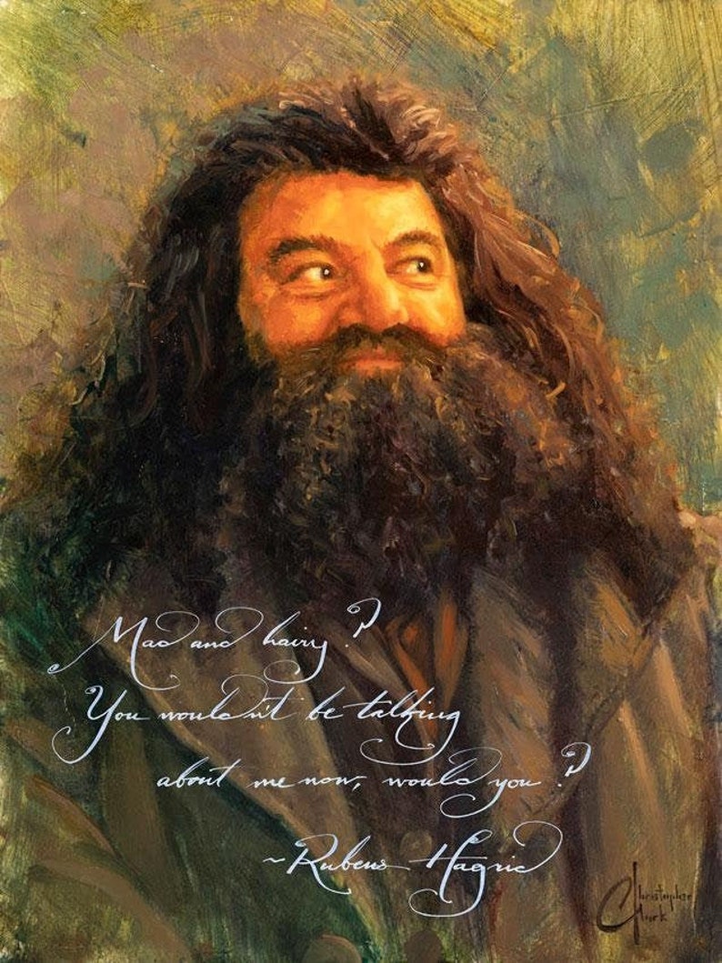 Hagrid Portrait Series Harry Potter Wall Art Etsy