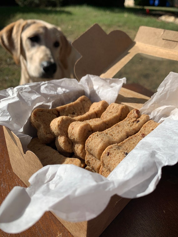 Erdnussbutter Hund