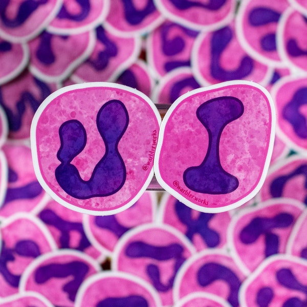 Two Neutrophil Alphabet Stickers Set  // Vinyl Sticker // Laboratory // Lab Gift // Laboratory Sticker // Cool // Nerdy // Hematology