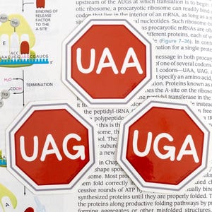 May include: Three red, octagonal stickers with white text spelling out UAA, UAG, and UGA. The stickers are on a textbook page with diagrams and text related to molecular biology.