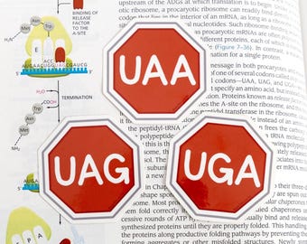 Stop Codon Sticker // UGA // UAG // UAA // Laboratory // Lab Gift // mRNA Sticker