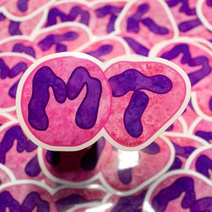 MT Neutrophil Alphabet Sticker // Vinyl Sticker // Laboratory // Lab Gift // Medical Technologist // Nerdy // Cool // Hematology