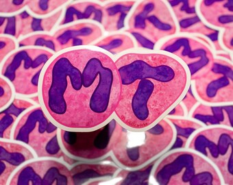 MT Neutrophil Alphabet Sticker // Vinyl Sticker // Laboratory // Lab Gift // Medical Technologist // Nerdy // Cool // Hematology