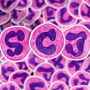 Three Neutrophil Alphabet Stickers Set  // Vinyl Sticker // Laboratory // Lab Gift // Laboratory Sticker // Cool // Nerdy // Hematology