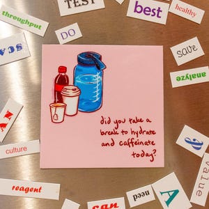 Did You Remember to Caffeinate and Hydrate Magnet // Reminder Magnet // Lab Reminder // Laboratory // Lab Gift // Healthcare image 2