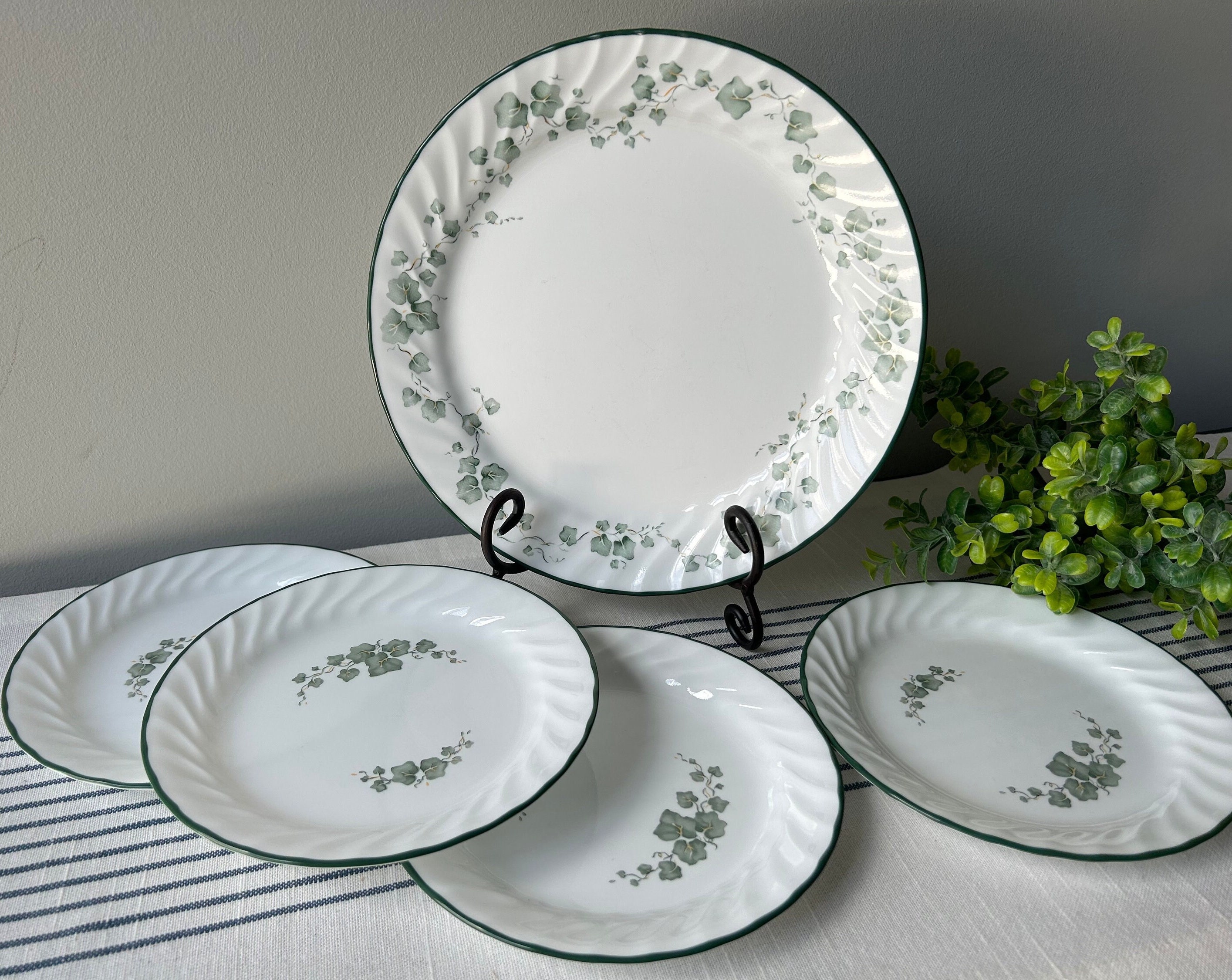 Ivy corelle dishes hotsell