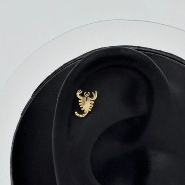 14K Gold Scorpion Tragus Piercing, Gold Minimalist Animal Stud Earring, Solid Gold Animal Helix Piercing, Minimalist Gold Cartilage Piercing