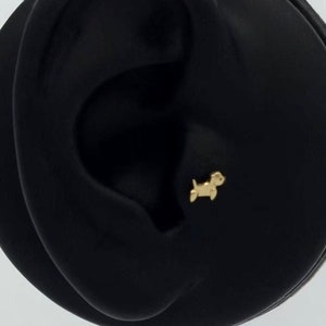 Piercing alla cartilagine per cani minuscoli in oro 14 carati, piercing all'elica animale in oro massiccio, orecchino carino per animali, piercing delicato in oro di trago
