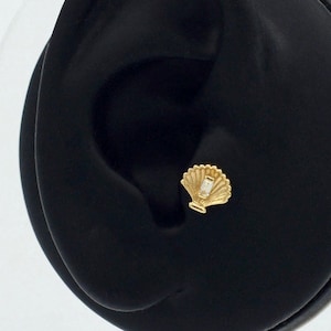 14k Solid Gold Sea Shell Piercing, Piercing alla cartilagine di conchiglia di mare d'oro minuscolo, carino Stud Orecchino, Piercing minimalista, Piercing trago d'oro,