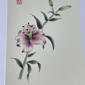 Original pintado à mão, caligrafia chinesa, lápis de cor, lírio, cartão em branco 3,74'' x 5,5''