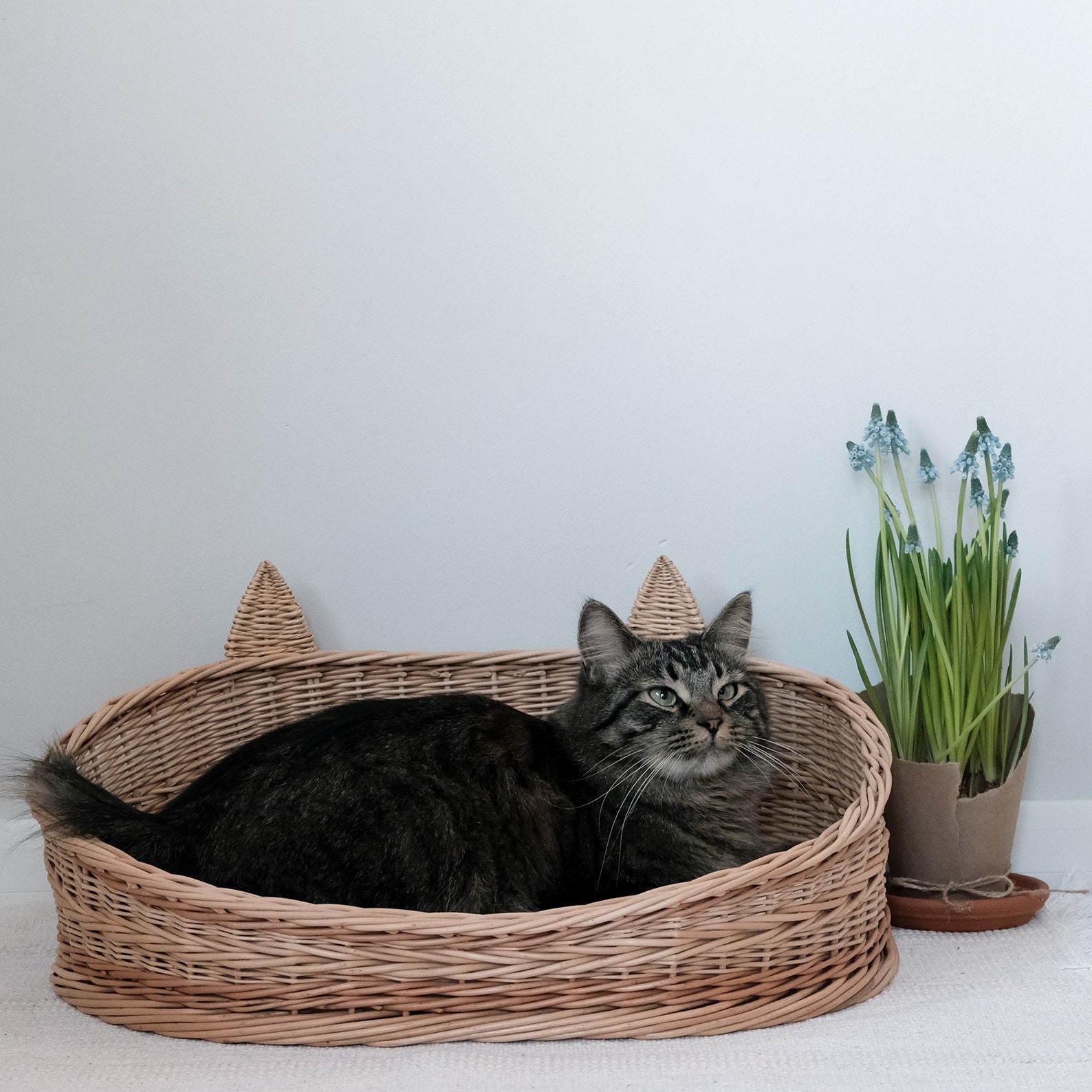 Wicker cat bed vine cat bed Cat Cave Cat basket Etsy