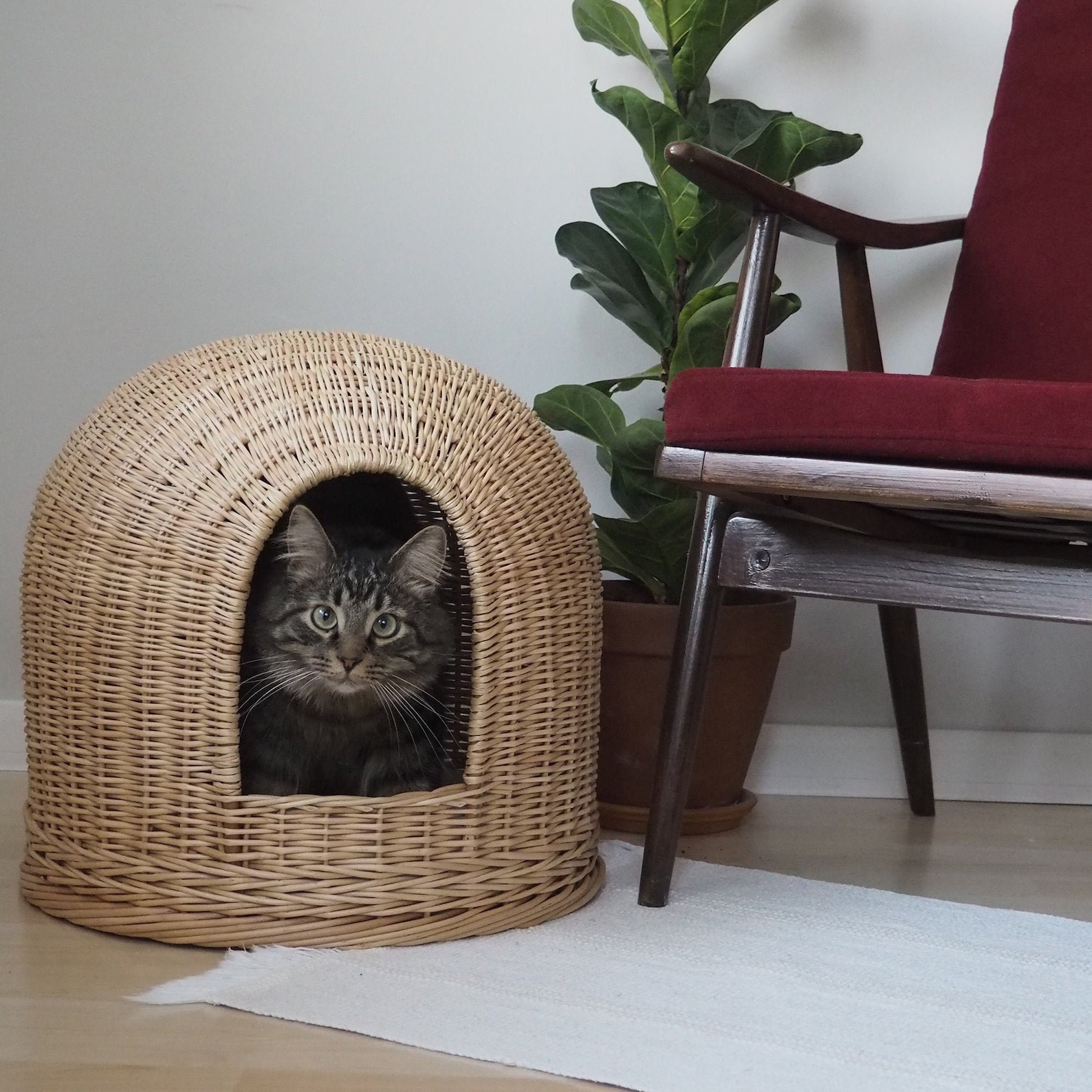 Wicker cat house Cat Furniture Pet house Cat Cave Cat Etsy
