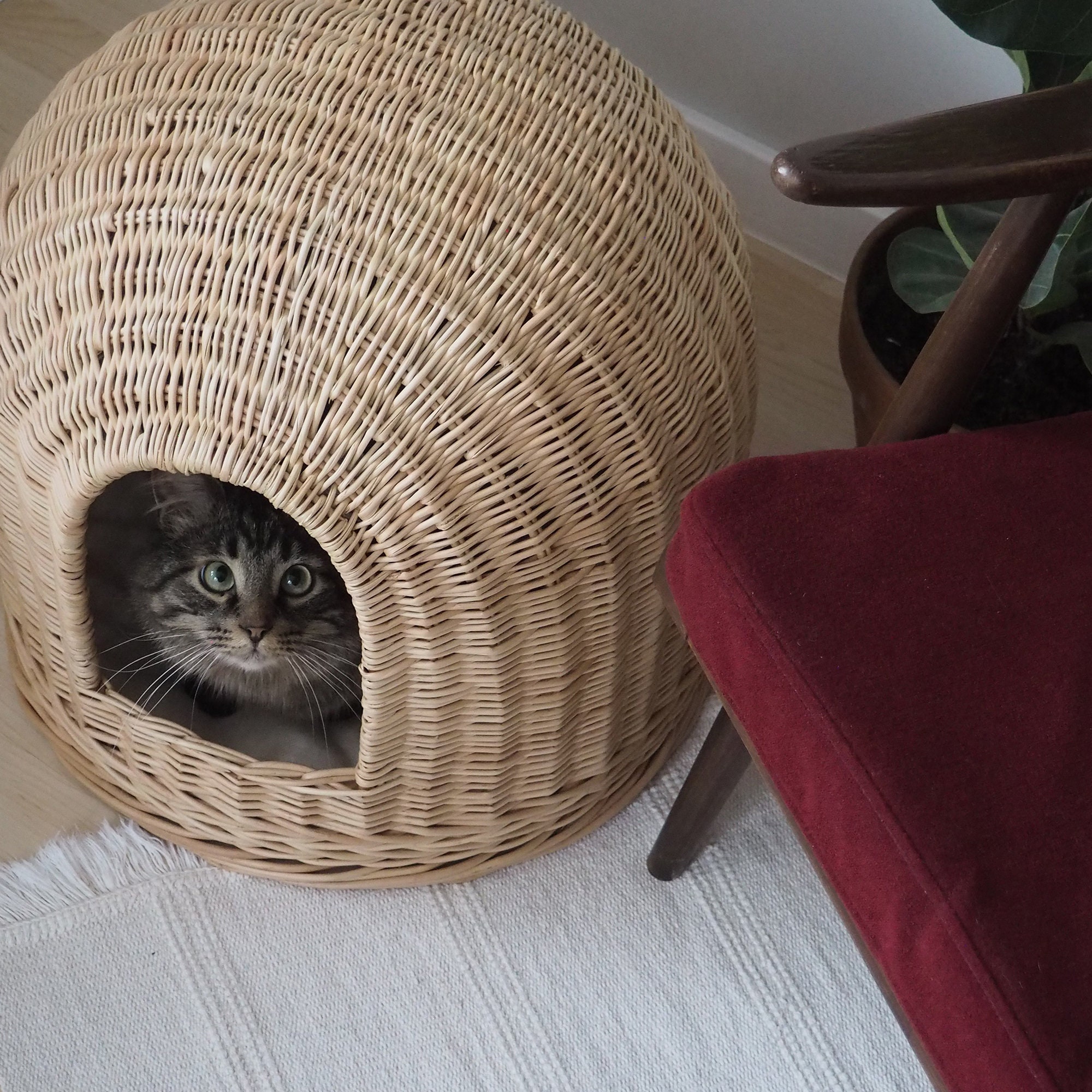 Wicker cat house Cat Furniture Pet house Cat Cave Cat Etsy