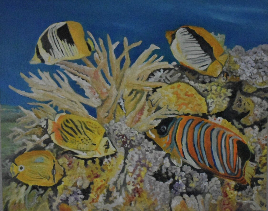 Corral Panels for sale compared to CraigsList Only 3 left at 60