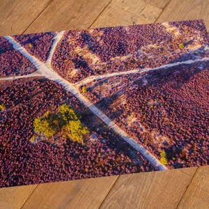 Cross Roads on Heather in Purple Bloom image 3