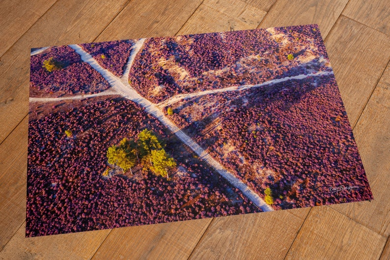 Cross Roads on Heather in Purple Bloom 画像 3