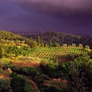 Nubes oscuras y luz del sol en un viñedo en Toscana, Italia / 1994 imagen 1