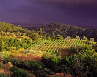 Dark Clouds & Sunlight on Vineyard in Tuscany, Italy | 1994