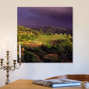 Dark Clouds & Sunlight on Vineyard in Tuscany, Italy 1994 image 2