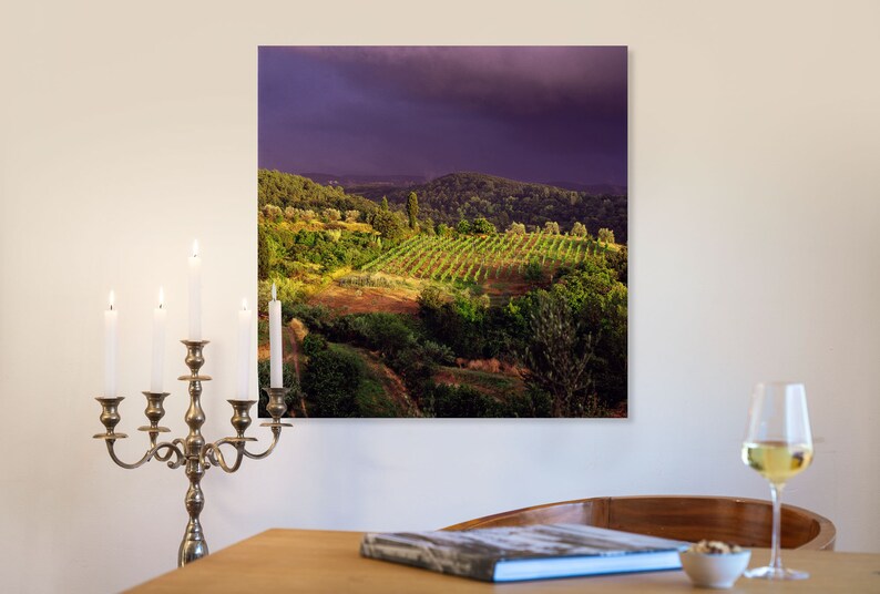 Nubes oscuras y luz del sol en un viñedo en Toscana, Italia / 1994 imagen 2