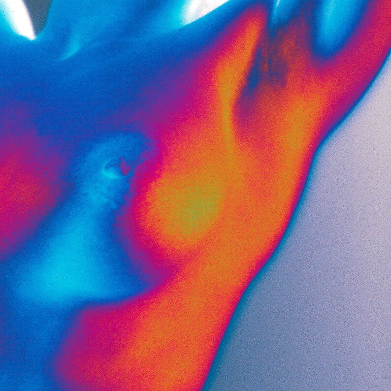 Colorful Nude II 1999 image 5