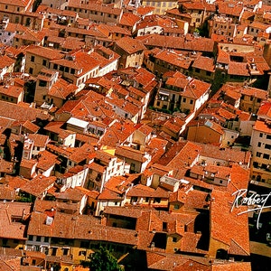 Florence in Panorama III 2016 image 4