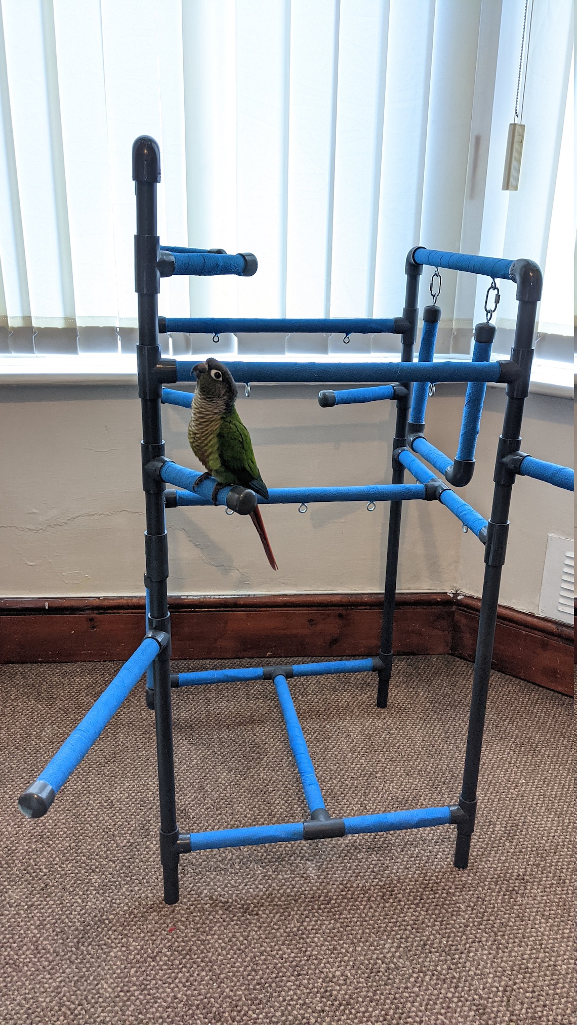 Large DEX Bundle 1 play gym bird play stand parrot floor Etsy